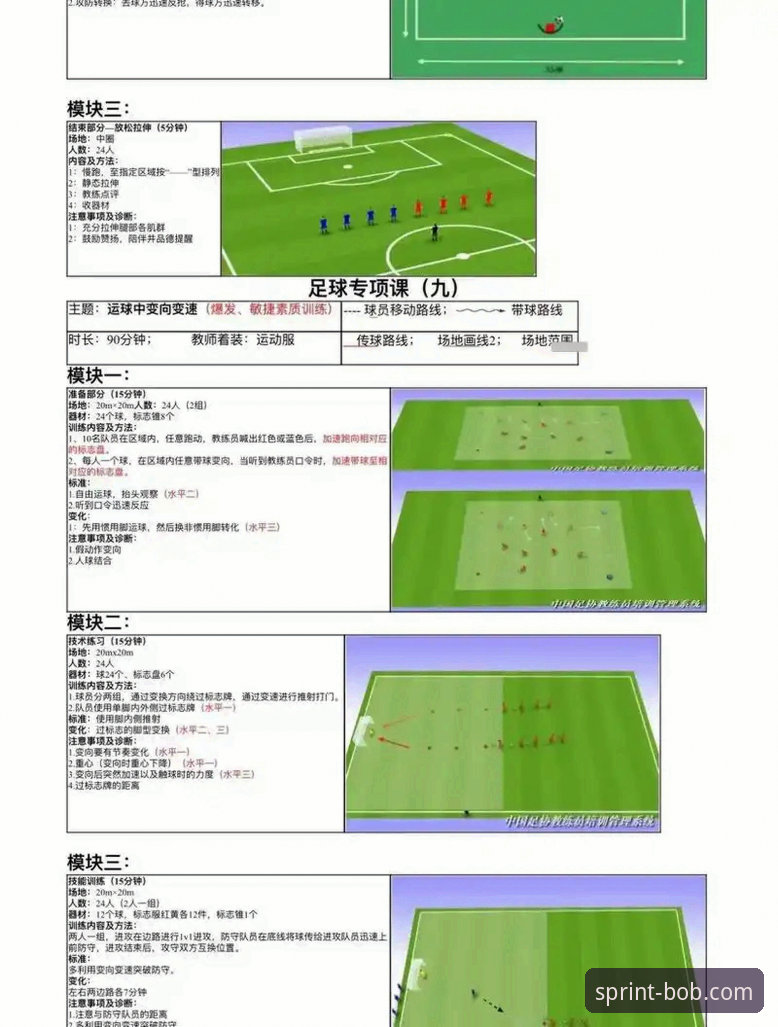 BOB半岛体育最新版本使用教程：从入门到精通的完整操作指南